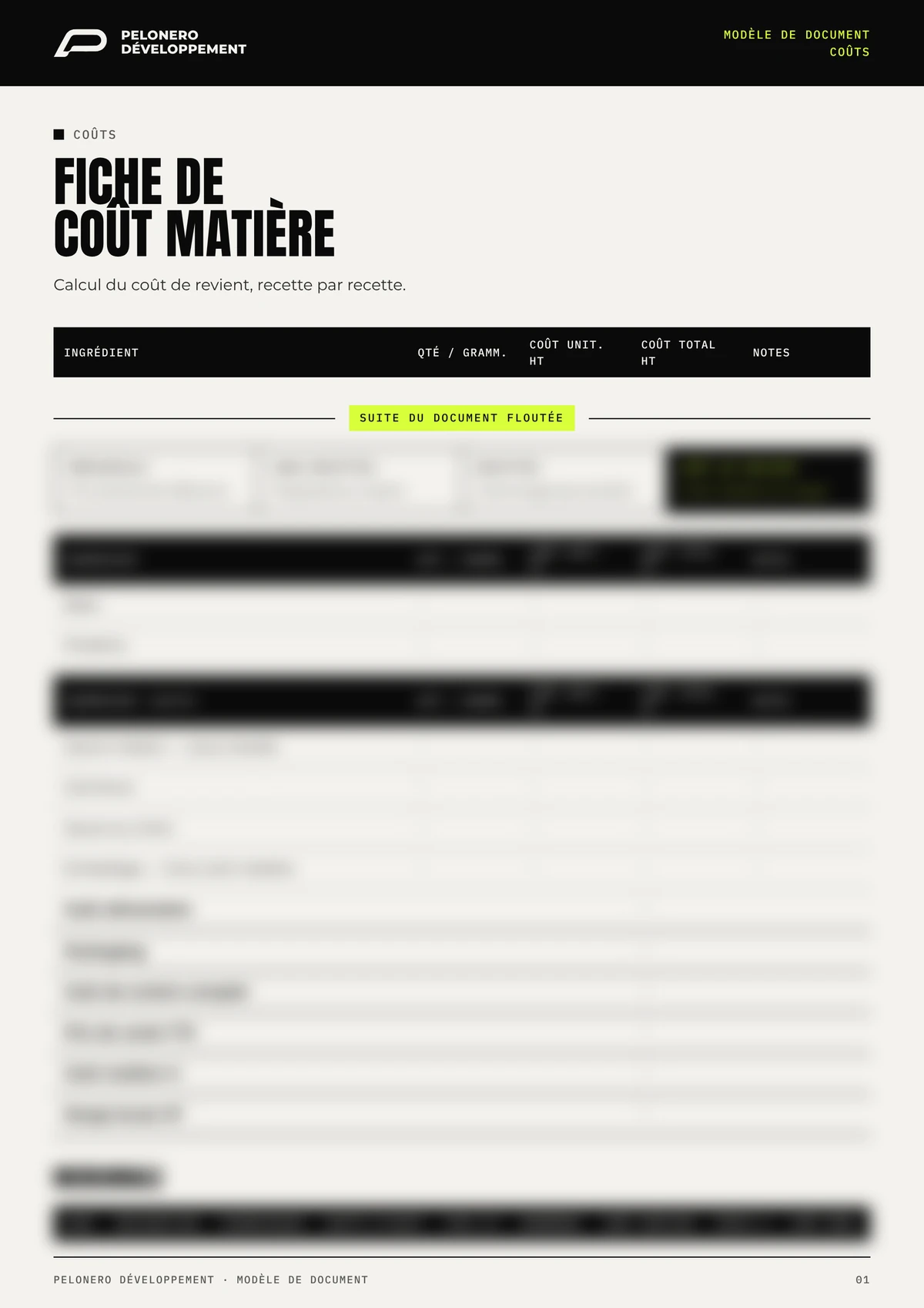 Exemple de document PELONERO Développement : fiche de coût matière, titre et intitulés lisibles, contenu flouté